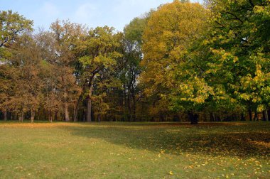 sonbahar ağaçlarıyla resmedilmiş manzara