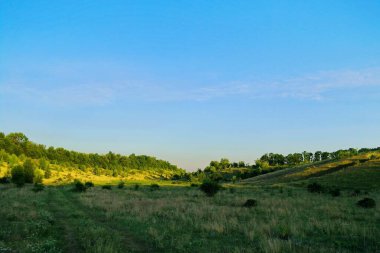Ağaçlarla ve mavi gökyüzüyle güzel bir manzara.