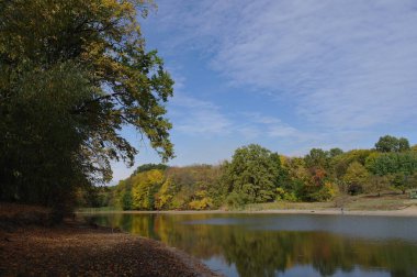 Güz ormanı manzarası güzel ağaçlar ve nehirlerle