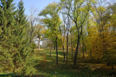 Parkın güzel manzarası