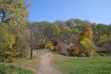 sonbahar ağaçlarıyla resmedilmiş manzara
