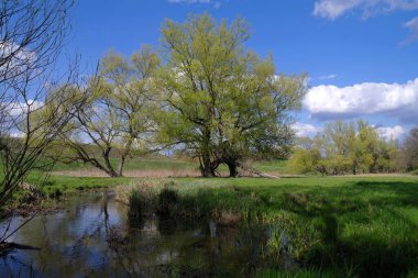 Parktaki nehrin güzel manzarası