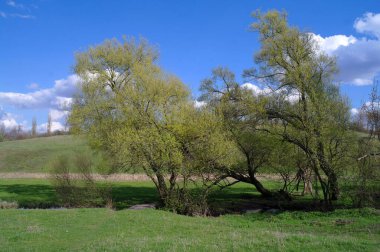 Doğanın güzel manzarası