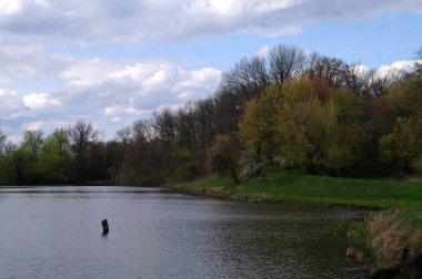 Nehir ve gölü olan güzel bir manzara.