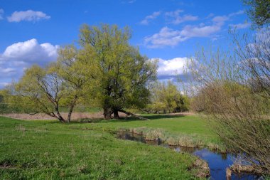 Parktaki nehrin güzel manzarası