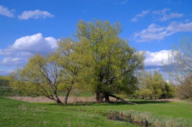 Parkın güzel manzarası
