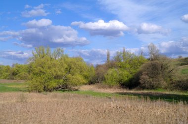Ağaçlı ve ağaçlı güzel bir manzara.
