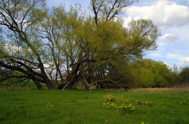 Doğanın güzel manzarası