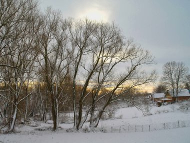 Karla kaplı ağaçlarla kaplı kış manzarası