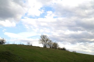 Ağaçlı ve ağaçlı güzel bir manzara.