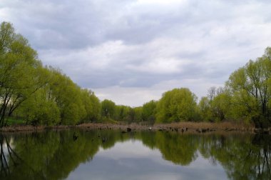Nehir ve gölü olan güzel bir manzara.