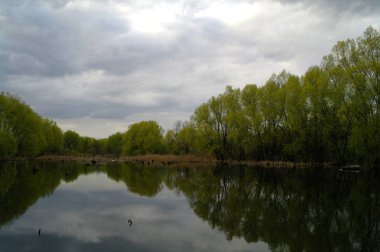 Nehir ve gölü olan güzel bir manzara.