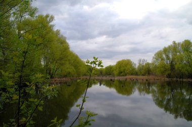 Güzel bahar manzara nehir ile 
