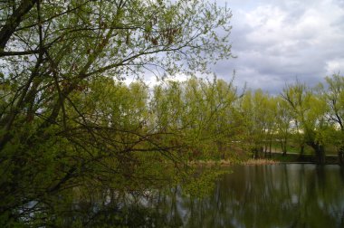 Parkın güzel manzarası