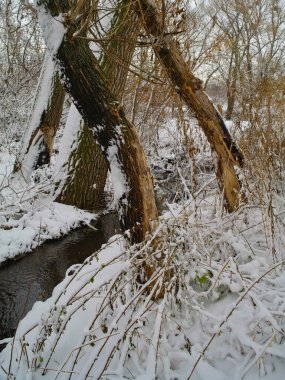 Doğanın güzel bir sahnesi.