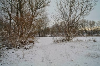 Doğanın güzel bir sahnesi.
