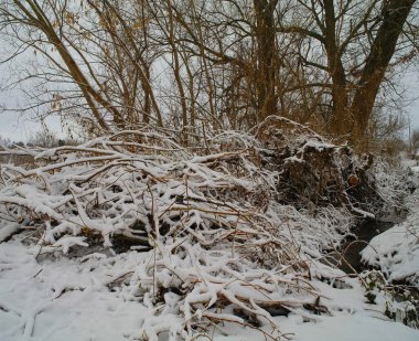 Doğanın güzel bir sahnesi.