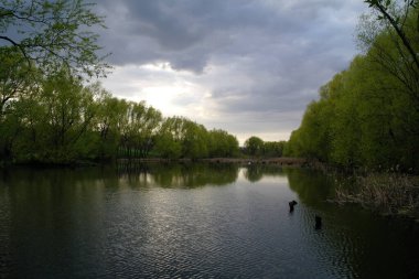 Doğanın güzel bir sahnesi.