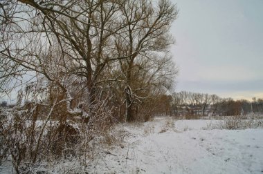 Doğanın güzel bir sahnesi.