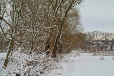 Doğanın güzel bir sahnesi.