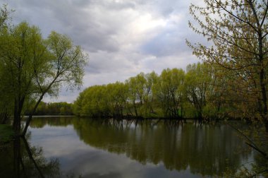 Nehir ve ağaçlarla dolu güzel bir manzara