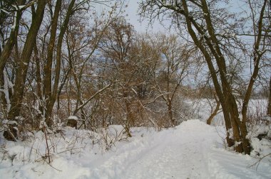 Doğanın güzel bir sahnesi.