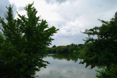 Ormandaki nehrin güzel manzarası
