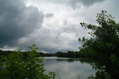 Ormandaki gölün güzel manzarası