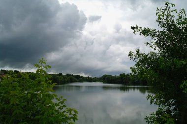 Ormandaki nehrin güzel manzarası