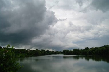 Ormandaki nehrin güzel manzarası