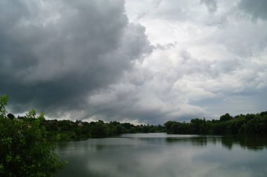 Ormandaki nehrin güzel manzarası
