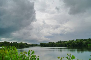 Ormandaki nehrin güzel manzarası