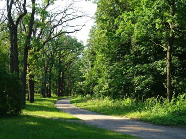 Parkta patikası olan güzel bir manzara.