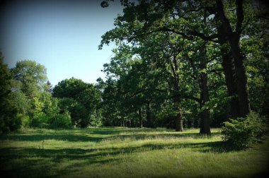 Parkın güzel manzarası