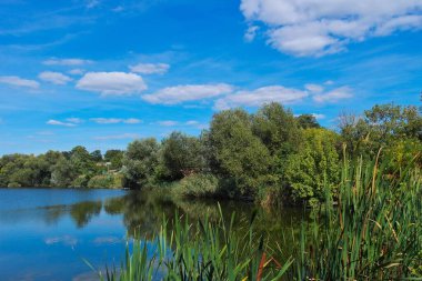 Gölü ve nehri olan güzel bir manzara.
