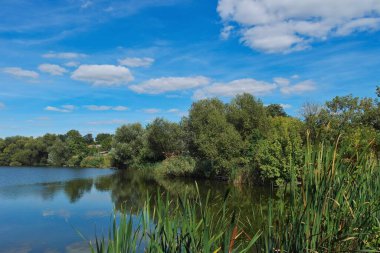 Nehir ve gölü olan güzel bir manzara.