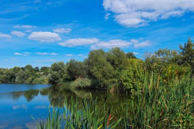 Nehir ve ağaçlarla dolu güzel bir manzara