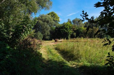 Doğanın güzel manzarası