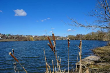 Parktaki gölün güzel manzarası