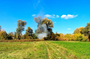 Doğanın güzel bir sahnesi.