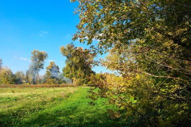 sonbahar ağaçlarıyla resmedilmiş manzara