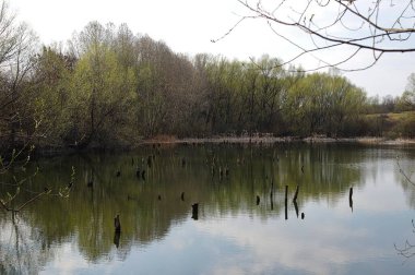 Nehir ve gölü olan güzel bir manzara.