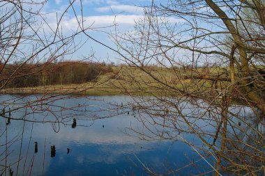 Ormandaki nehrin güzel manzarası