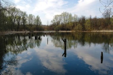 Nehir ve ağaçlarla dolu güzel bir manzara