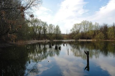 Nehir ve ağaçlarla dolu güzel bir manzara
