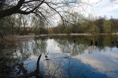 Arka planda nehir ve göl olan güzel bir manzara.