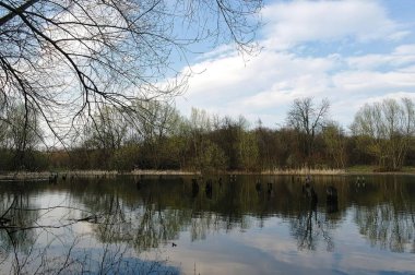 Ağaçları ve mavi gökyüzü olan güzel bir manzara.