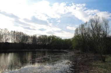 Arka planda nehir ve göl olan güzel bir manzara.