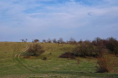 Ağacı ve tarlası olan güzel bir manzara.