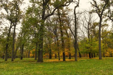 Parkın güzel manzarası